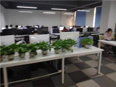 重慶企業(yè)軟件開發(fā)與保健項(xiàng)目合作 價(jià)格策略與批發(fā)模式探討