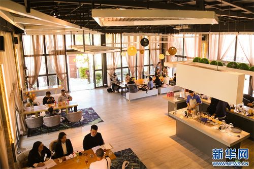 滇西新景致 保山咖啡莊園創(chuàng)新模式，引領(lǐng)農(nóng)文旅融合新浪潮