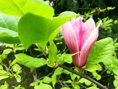 生意的本質 生生不息，心上之意